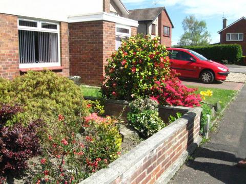 Front garden seen on group visit to Baberton front gardens