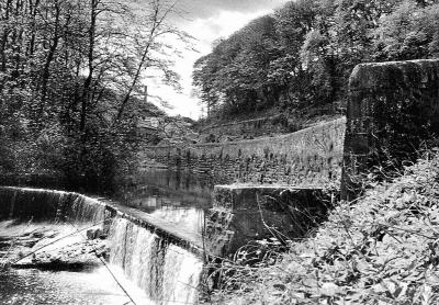 Dooking Hole, Water of Leith 