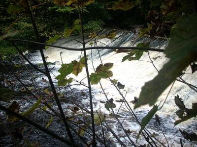 Under 12s 3= Sally Taylor Falls at Water of Leith