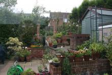 Many pots in a terraced back garden Many pots in a terraced back garden